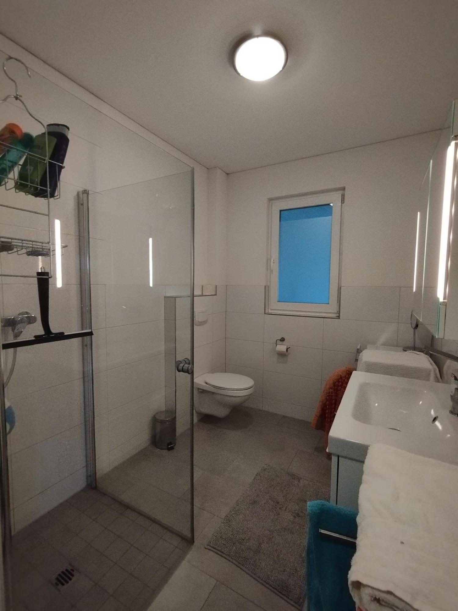 Crown Living Design Apartment - Gratis Parkplatz - Wlan - Kueche - Self Check-In Altach Buitenkant foto