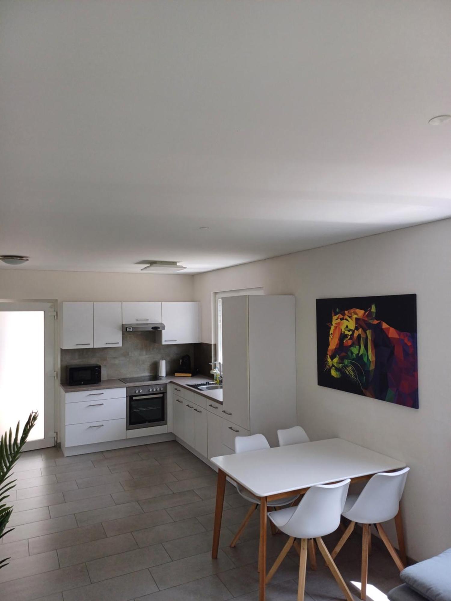 Crown Living Design Apartment - Gratis Parkplatz - Wlan - Kueche - Self Check-In Altach Buitenkant foto